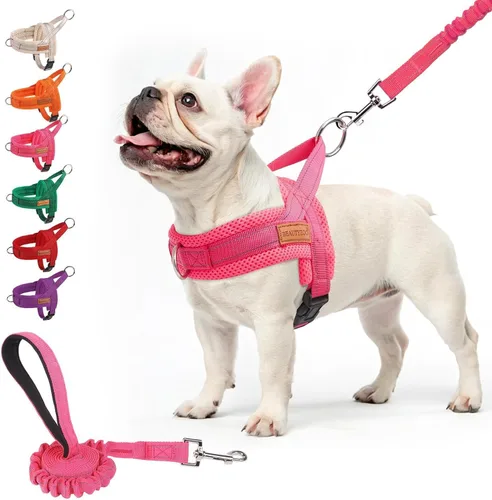 Miniatura 13 de BEAUTYZOO Arnés para Perros Pequeños, Juego de Arnés y Correa sin Tirones, Arnés de Chaleco para Cachorros Suave a Prueba de Escapes con Manija