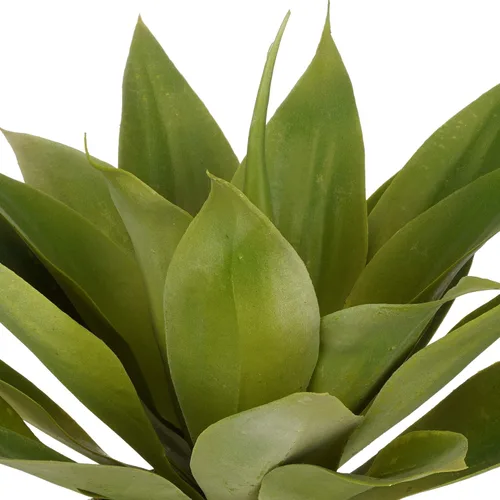 Miniatura 2 de House of Silk Flowers Suculenta de agave artificial (pequeño)