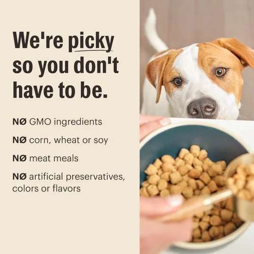 Miniatura 9 de The Honest Kitchen Alimento seco para perros en racimos de alimentos integrales de grado humano, carne de res sin cereales, bolsa de 5 libras