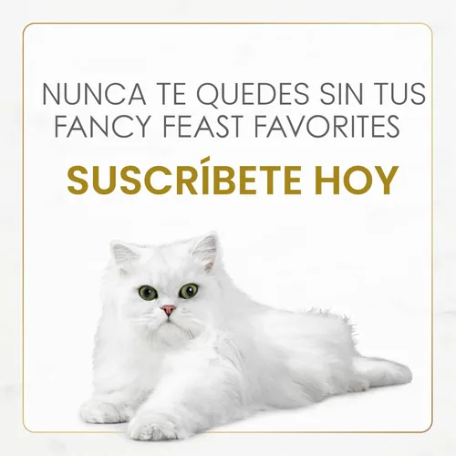 Miniatura 14 de Comida seca Purina Fancy Feast para gatos con pescado del océano y salmón - Bolsa de 3 libras