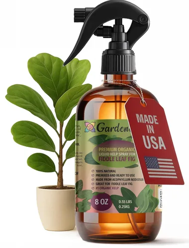 Miniatura 37 de GARDENERA Spray orgánico profesional de algas marinas para plantas AGLAONEMA – 8 oz – Rocío fertilizante de algas marinas y algas marinas totalmente