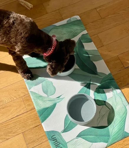 Miniatura 12 de Tapete de comida para perros, tapete para tazón de perro, tapete de comida para mascotas, tapete para alimentos y agua para perros, tapete