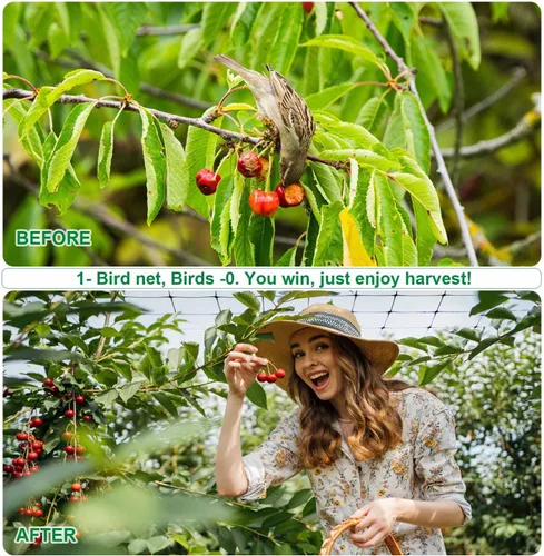 Miniatura 9 de Mklsit Valla de malla para ciervos, 8 x 100 pies, red de jardín resistente para protección de jardín, árboles frutales, plantas vegetales contra