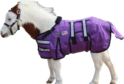 Miniatura 4 de 32-36 (pequeño) 1680D Miniatura Weanling Donkey Pony Horse Foal Manta de invierno 519TS01BK