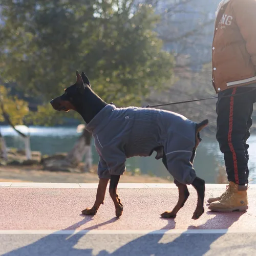 Miniatura 6 de Lovelonglong - Abrigo cálido para perro, chaqueta para perros pequeños, medianos y grandes con cierre de cremallera, abrigo de invierno de forro