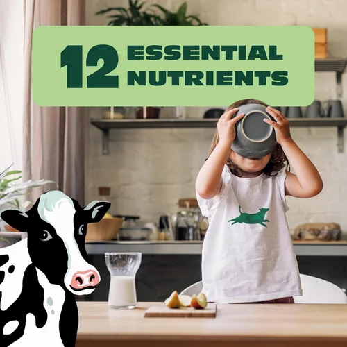 Miniatura 4 de Organic Valley - Leche entera, 64 fl oz