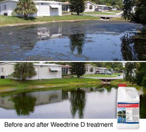 Miniatura 2 de Herbicida acuático Weedtrine D 1 galón en aerosol para control rápido y de amplio espectro de lentejas de agua, lechuga flotante, sumergida