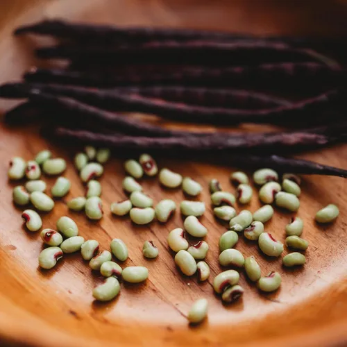 Miniatura 2 de Cabrí de cáscara morada de ojos rosados, 4 onzas a granel (~550 semillas) – Variedad de guisantes de campo sureño heredero, cultivadas en Estados