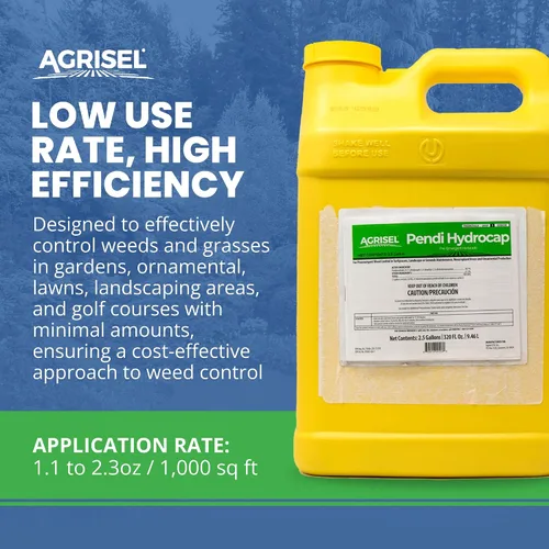 Miniatura 5 de Agrisel Pendi Hydrocap - Herbicida con fórmula pre-emergente, eficaz en más de 40 hierbas y hierbas de hoja ancha, sin manchas, se mezcla