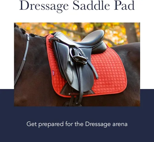 Miniatura 3 de LeMieux Dressage Sensitive - Almohadilla cuadrada para sillín inglesa para caballos, equipo y accesorios de equitación ecuestre (negro - grande)