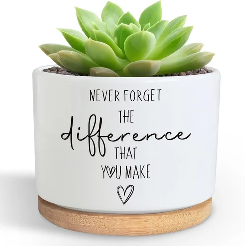 DOFAFALA Maceta Graciosa para Suculentas, Maceta para Cactus, Regalos de Flores, Regalos Inspiradores de Apreciación para Amantes de Plantas, Nunca