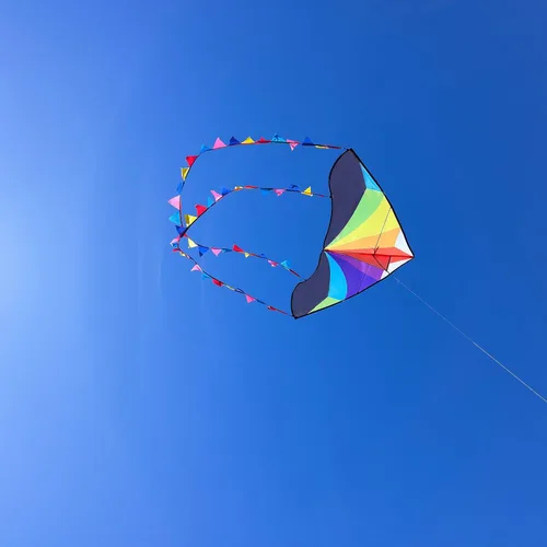 Miniatura 5 de Delta Kite para niños y adultos, fácil de volar, cometa de playa grande de una sola línea con mango de cuerda de 300 pies incluido, perfecta