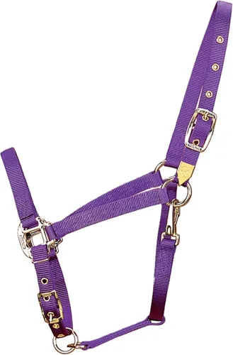 Miniatura 12 de Hamilton, Halter de 1 pulgada con barbilla ajustable, azul baya, 800-1100 libras