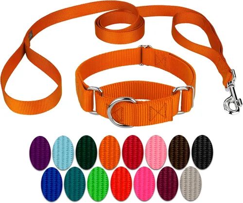 Miniatura 25 de Country Brook Petz - Collar para perro de nailon resistente Martingala azul hielo y correa de doble asa (1 pulgada, grande)