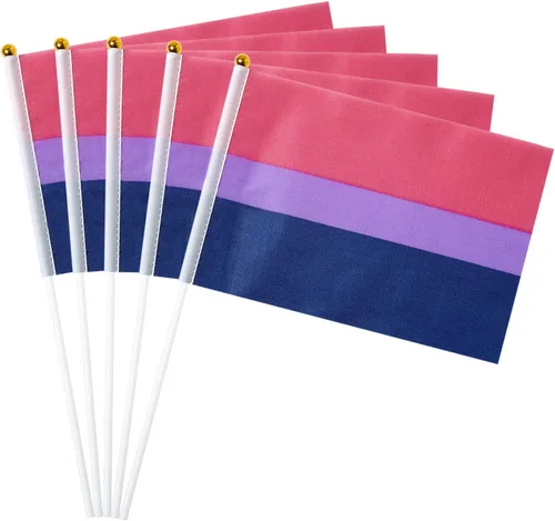 Miniatura 14 de GentleGirl Paquete de 12 banderas de arco iris del orgullo asexual, pequeñas banderas de mano gay LGBT Festival Fiesta Desfiles Decoraciones