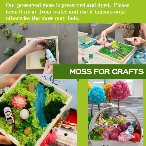 Miniatura 7 de Musgo preservado, musgo de 3.5 onzas para manualidades, decoración de musgo sintético, musgo verde natural para decoración de pared de floristería