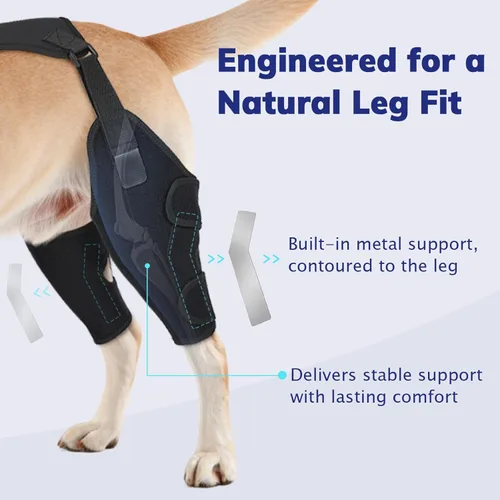 Miniatura 2 de Rodillera para perro para pierna trasera de ACL desgarrada, soporte de pierna de perro con estabilizadores de metal para desgarro CCL, limpado