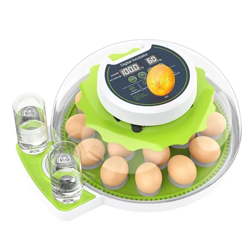Miniatura 8 de Incubadora de 8 huevos con giro automático de huevos, control de temperatura y humedad, vela de huevos, mini incubadora digital para incubar pollo