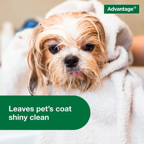 Miniatura 6 de Advantage Champú para pulgas y garrapatas para perros y perros adultos Mata pulgas y garrapatas 8 onzas