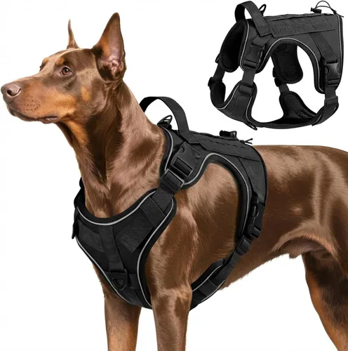 Miniatura 50 de VavoPaw cinturón de seguridad para perro, arnés de coche con peto de seguridad y hebilla ajustable para vehículo, cinturón de seguridad de nailon