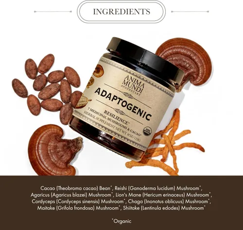 Miniatura 3 de Anima Mundi Apothecary Suplemento orgánico de hongos – hongos adaptogénicos + cacao – Polvo estimulante con melena de león orgánica, shiitake, chaga