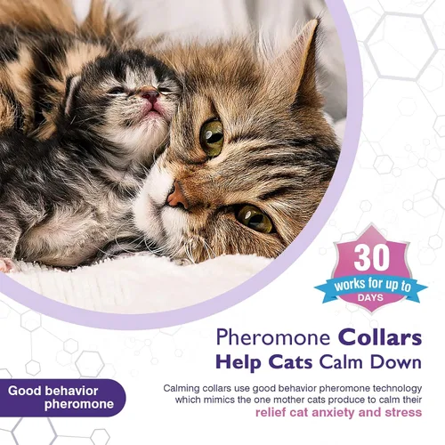 Miniatura 2 de Paquete de 3 collares calmantes eficientes para aliviar la ansiedad, feromonas del estrés, relajantes, cómodos, ajustables para gatos pequeños