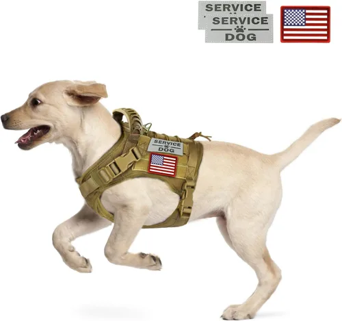 Miniatura 12 de Arnés táctico para perro, chaleco de entrenamiento al aire libre, chaleco militar K9 de patrulla para perro, arnés táctico ajustable para cachorros