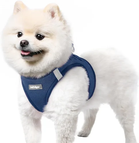 rabbitgoo Arnés para perro pequeño, chaleco de malla suave para cachorros con hebilla de seguridad, arnés reflectante transpirable para mascotas
