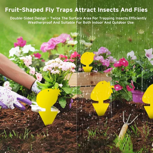 Miniatura 6 de Trampa para moscas de frutas y mosquitos de hongos, paquete de 40 trampas adhesivas amarillas para mosquitos para plantas de casa