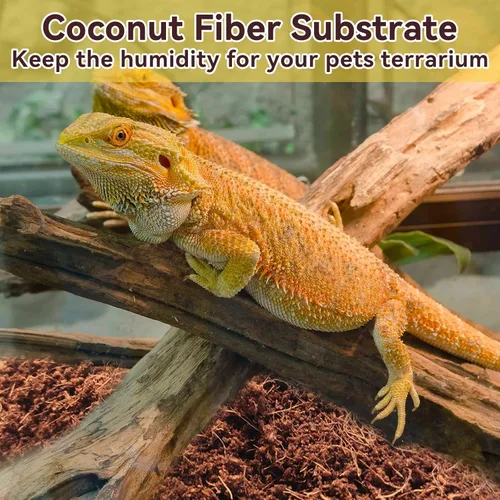 Miniatura 7 de Legigo 2 Pack Sustrato de fibra de coco comprimida - 100% fibra de coco orgánica en bloque para cama de reptiles, sustrato natural de cáscara
