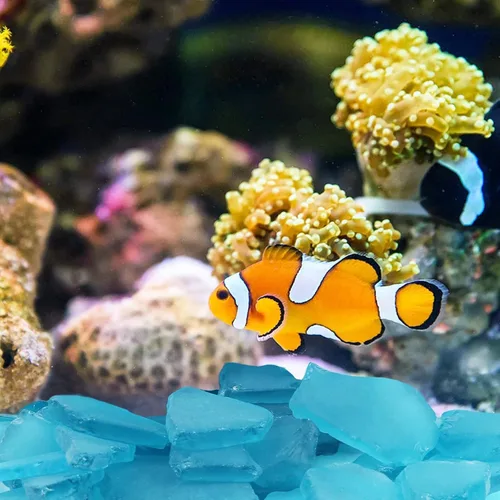 Miniatura 4 de Giftvest Vidrio de mar para manualidades, adornos planos de vidrio de mar esmerilado, relleno de jarrón, suministros de manualidades para playa