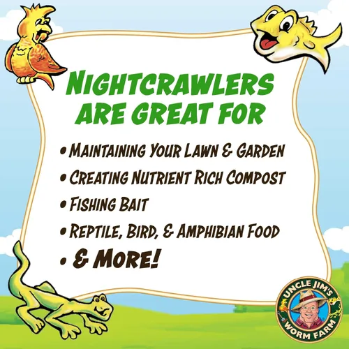 Miniatura 3 de Uncle Jim's Worm Farm 100 unidades de Nightcrawlers europeos súper rojos para compostaje y aireación del suelo del jardín Los grandes rastreadores