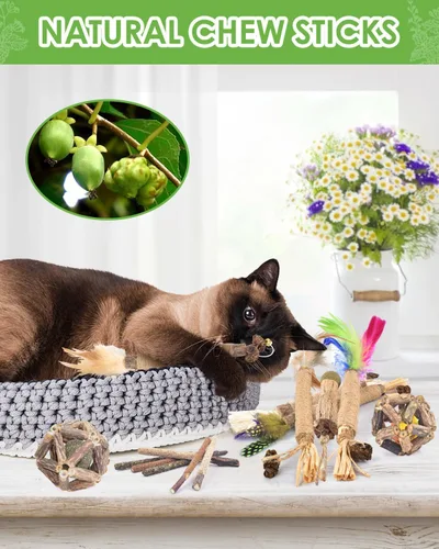Miniatura 7 de TINDTOP Juguetes masticables para gatos, paquete de 12 palitos masticables Silvervine con 2 bolas de jaula para limpieza de dientes de gatitos