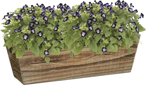 Miniatura 2 de Caja de madera Classic Home and Garden, para ventana