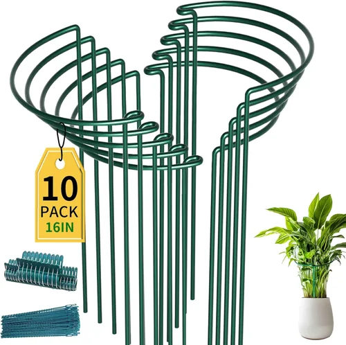 Miniatura 12 de TCBWFY Paquete de 10 estacas de soporte para plantas de peonía, 10 pulgadas de ancho x 24 pulgadas, jaulas de peonía de alta resistencia de 0.177 in
