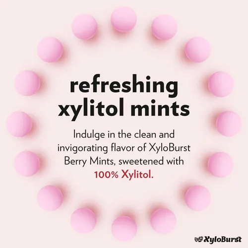 Miniatura 3 de XyloBurst - Mentas de Xilitol Menta para aliento fresco sin azúcar para la salud oral Sin gluten, veganas, aptas para keto Mentas libres