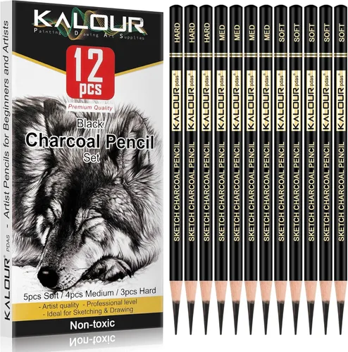 Miniatura 6 de KALOUR Juego de Dibujo de Carboncillo de Colores Pro, 12 Piezas de Lápices de Tiza Pastel para Bocetos, Sombreado, Mezcla, Retrato, Carboncillo