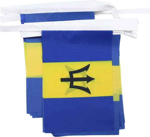 Miniatura 14 de AZ FLAG Señal marítima internacional 42.7 ft BUNTING Flag 40 banderas 9'' x 6'' - Banderas de cuerda del alfabeto náutico 5.9 x 8.3 in