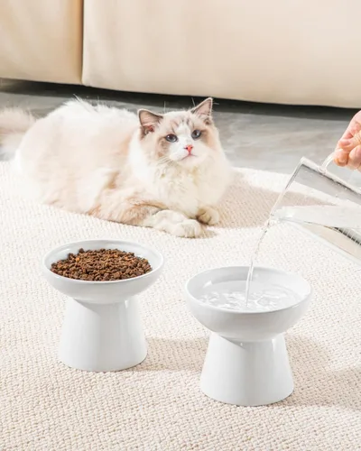 Miniatura 9 de vancasso Paquete de 2 cuencos elevados para gatos, platos elevados de cerámica para alimentos y agua para gatos con 5.1 pulgadas de altura y 6.2