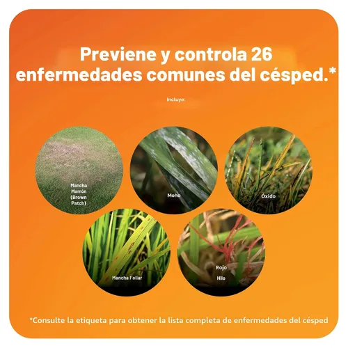 Miniatura 4 de Scotts - Fungicida para césped DiseaseEx, Controla y previene enfermedades hasta por 4 semanas, trata hasta 5.000 pies cuadrados, 10 libras.