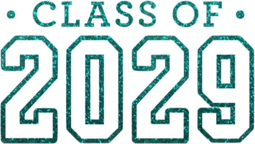 Miniatura 31 de Class of 2029 Iron On Decal, Senior Class Shirt Patch, Heat Transfer, HTV Graphic Tshirt Sticker, DIY Crafts, Pick Size Color, Iron-On Almost Old