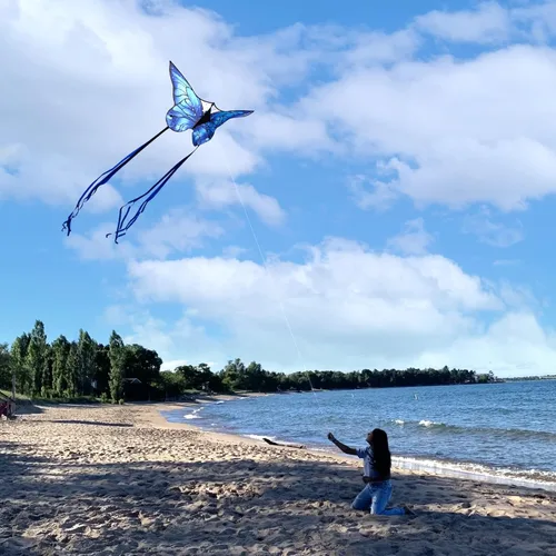 Miniatura 4 de Cometas de mariposa para niños y adultos, fácil de volar, cometa grande de una sola línea para niños y niñas, cometa de playa de 55 x 28 pulgadas