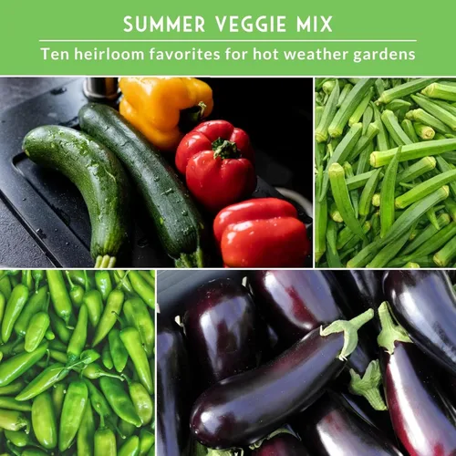 Miniatura 4 de Semillas de jardín de verduras de verano, paquete variado de 10 heirloom sin OMG para plantar, colección de jardinería de clima cálido para verduras