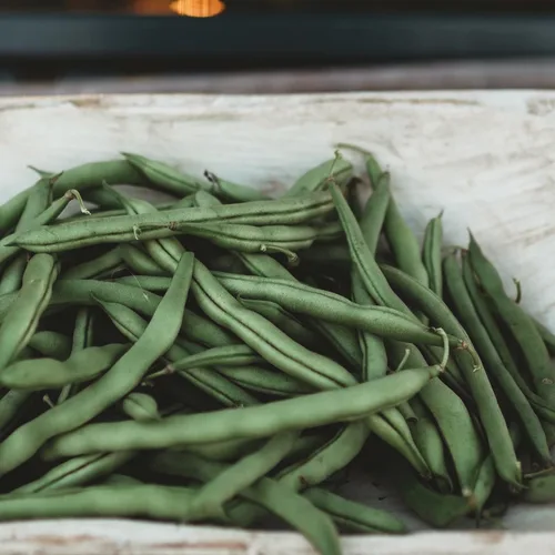 Blue Lake Pole Bean - 25 semillas – Variedad Heirloom Snap, cultivadas en Estados Unidos, semillas de frijol verde sin OMG para plantar al aire