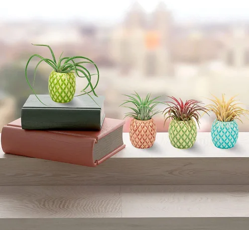 Miniatura 2 de Paquete de 4 soportes únicos para plantas de aire, lindo soporte de pared para plantas de aire de piña, soportes de cerámica Tillandsia para plantas