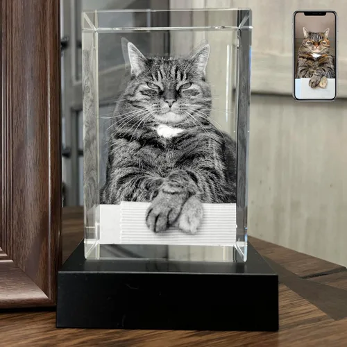 Miniatura 8 de Foto de cristal 3D personalizada, regalos conmemorativos para perros y gatos personalizados para dueños de mascotas. Caja de regalo incluida, foto