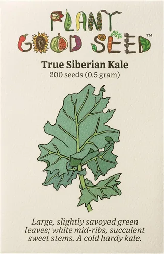 Plant Good Seed Semillas orgánicas de col rizada siberiana, paquete de 200, semillas tradicionales para plantar verduras, suministros de jardinería,