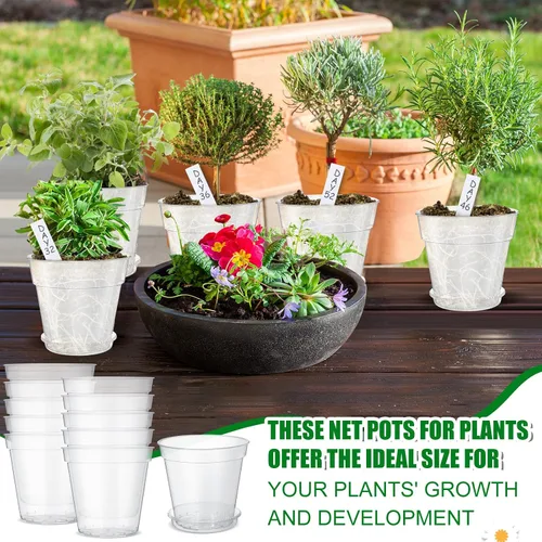 Miniatura 5 de Hushee Juego de 10 macetas transparentes de 8 pulgadas para guardería, incluye 10 platillos y 100 etiquetas para plantas, maceta de plástico