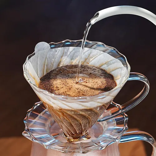 Miniatura 4 de Bincoo Juego de cafetera vertida, cafetera de goteo de cono de 60° en forma de V, incluye jarra de café de vidrio borosilicato de 16 onzas y gotero