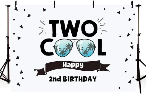 Miniatura 3 de MEHOFOND Fondo con temática de dos lentes de sol geniales para decoración de fiesta de segundo cumpleaños, pancarta de fondo de fotografía para mesa